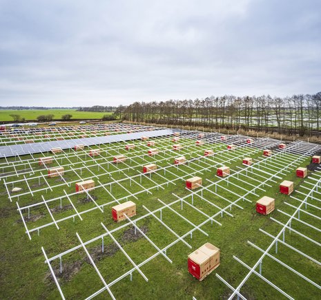 Wanneperveen solar park comprises nearly 51,000 Sunova Solar modules. 